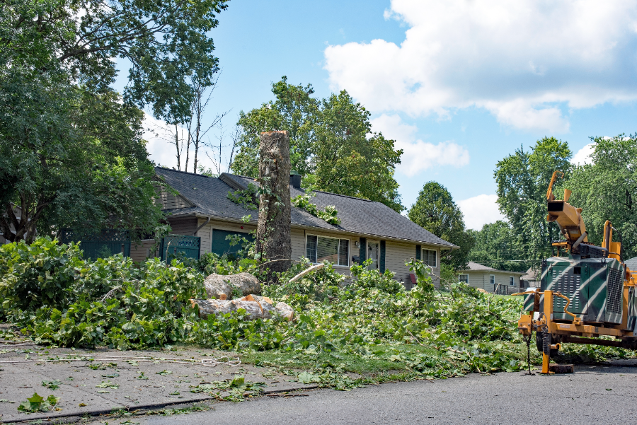 Wood chipper processing storm debris in residential driveway with fallen branches